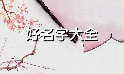 田和吴如何起名字好不好