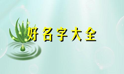 绿植如何组合起名好听一点