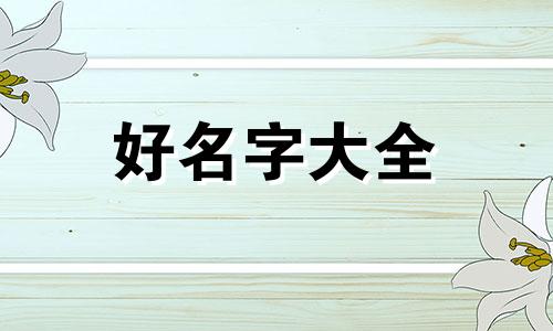 如何给红花起名子好听一点