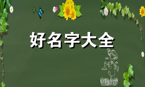 模具如何起名称好听一点