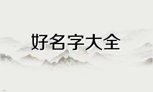 如何给店小二起名字呢