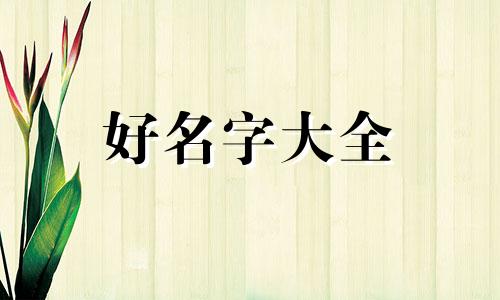 干牛羊肉冻品如何起名字