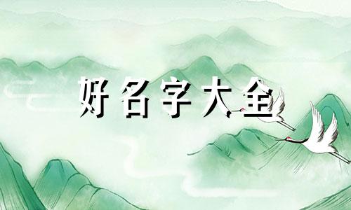 如何给刚出生的宝宝起名字