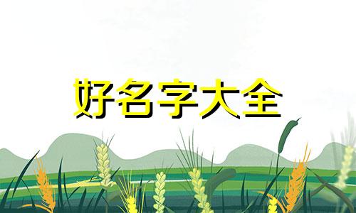 如何用四字成语起名字女孩
