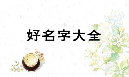 如何给小比熊起名字男的