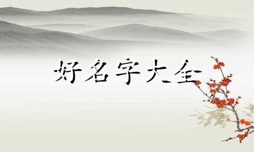 如何给龟龟起名字男孩子