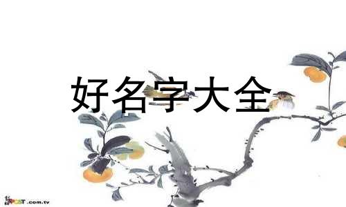 如何给游戏中的男生起名字