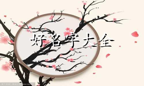 如何给塑料袋厂起名称呢