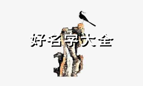 注册公司如何起名字好听一点