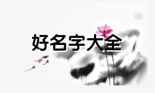 如何给公司起名称好听好记