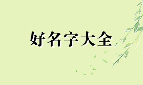 自闭症康复中心如何起名字