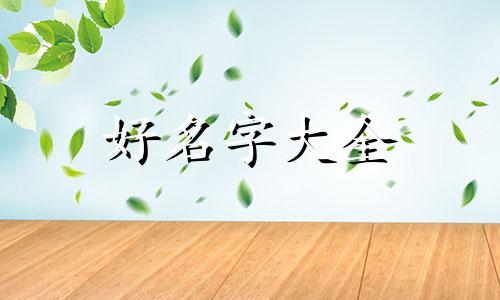 如何给小猫咪起名字呢女生