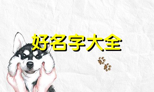 如何给姓胡的女生起名字