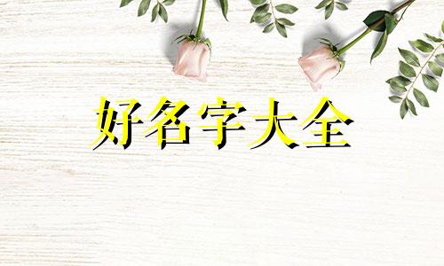 家居百货如何起名字呢大全