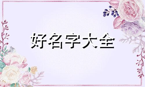 旗舰店如何起名字吸引人