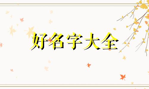 如何给小兔子起名称好听