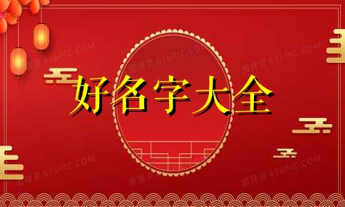 雪貂如何起名字好听一点