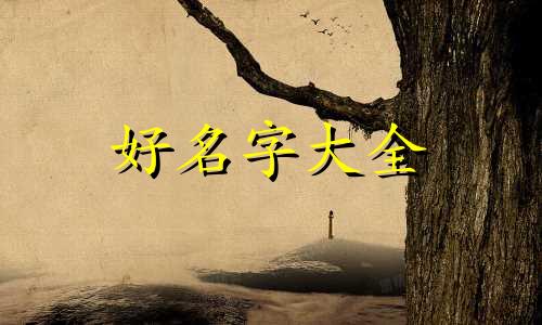 如何给熊猫起名字好听一点