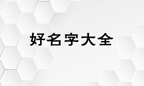 如何给龙凤胎的孩子起名字
