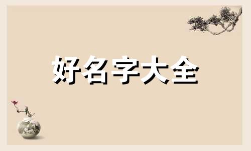 荣耀9x语音助手如何起名字