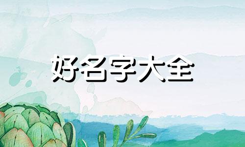 女装丝袜店如何起名字吸引人