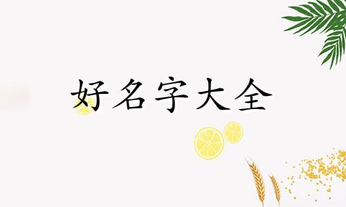 姓王的男生如何起名字好听