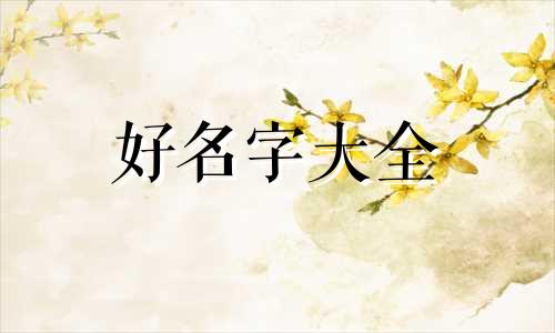 核电站如何起名称好听点