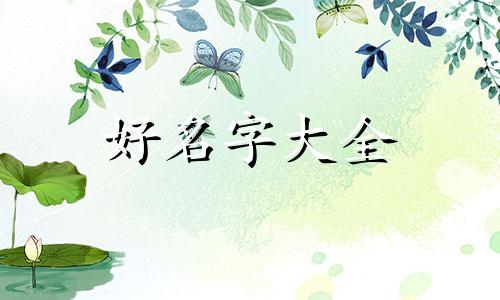 阿里巴巴会员名如何起名字