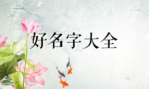 肥肠鸡如何起名字霸气一点