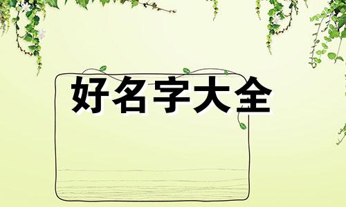 如何为零售项目起名称呢