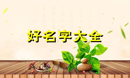 经营性公司名称如何起名好听