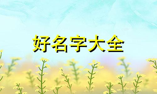 营养茶如何起名字好听一点
