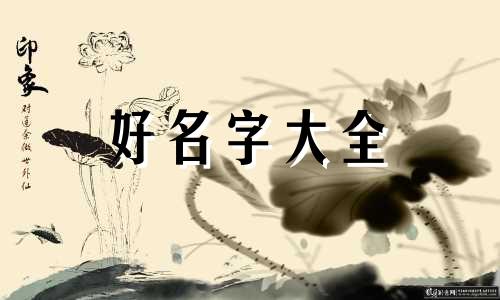 如何给模特起名字男的女的