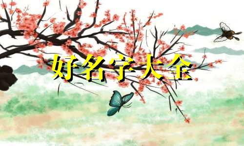 幼儿园沙池如何起名字好听