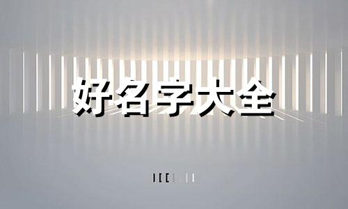 一半童装一半袜子如何起名