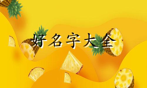 如何给大公鸡起名字呢视频