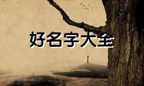 虎娃如何起名好听一点的字