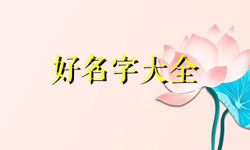 如何给小兔起名字好听一点