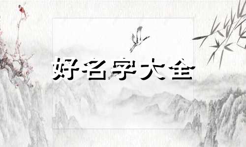 如何给黑白衣服起名字大全