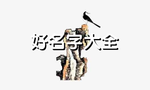 民族风服装店如何起名字好听