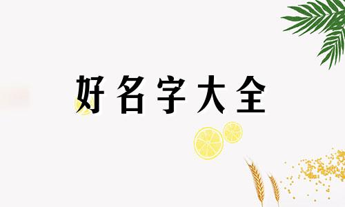 韩国人是如何起名字的视频