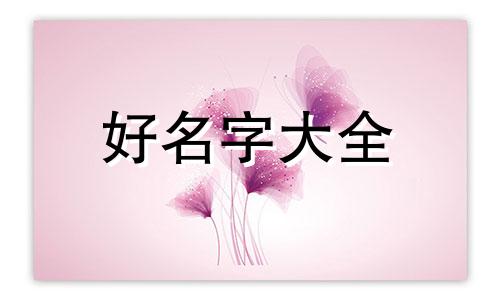 早教班如何起名字男孩子