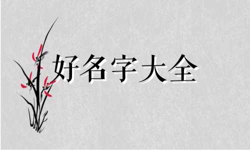 姓尚泰字辈如何起名字女孩