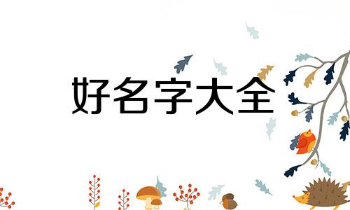 虎宝宝用乔字起名如何取网名好听