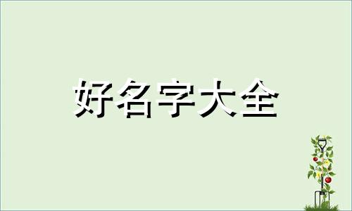 如何给家人起名字好听一点