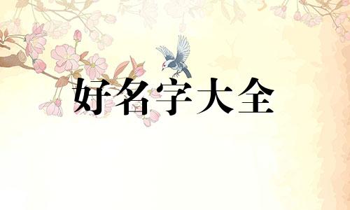 城市更新类公司如何起名称的