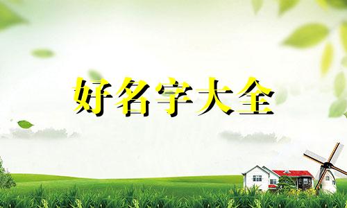油菜花如何起名子好听一点