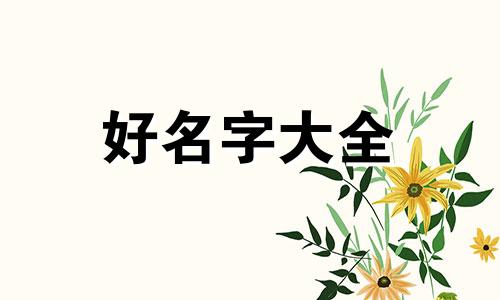 家里有三只狗如何起名称