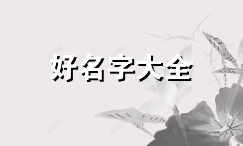 如何给吉祥物起名字男宝宝