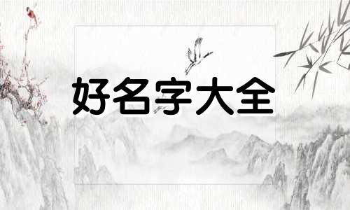 绒毛狗如何起名字可爱一点